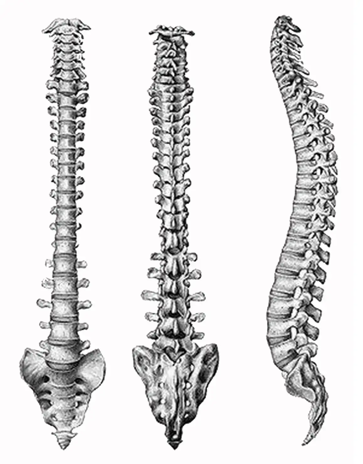 فوق تخصص مغز و اعصاب و ستون فقرات فوق تخصص مغز و اعصاب و ستون فقرات