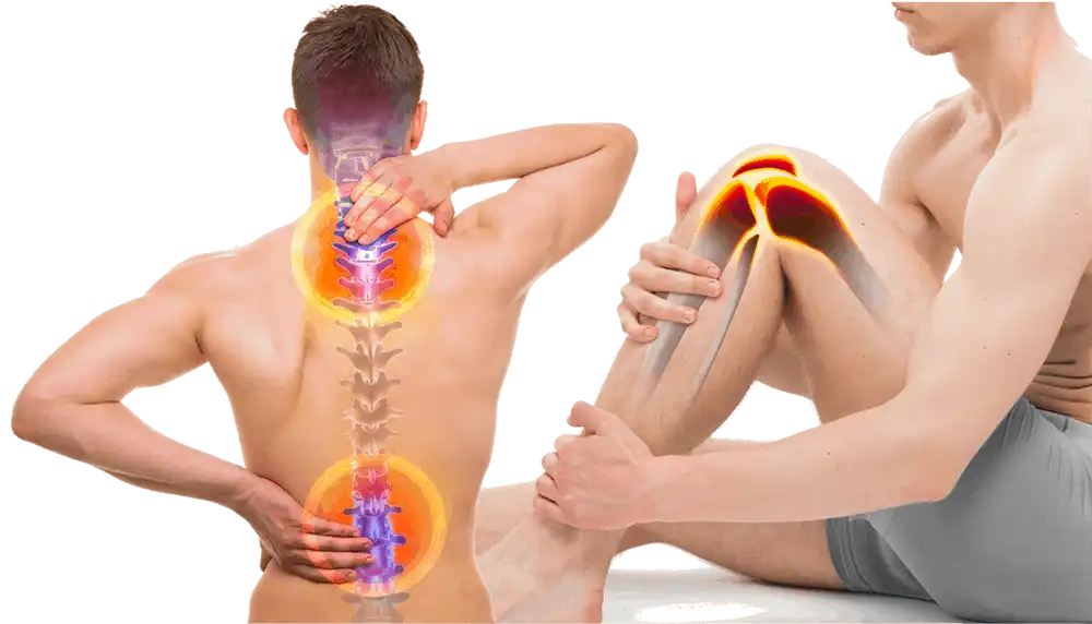 درمان گیاهی روماتیسم ستون فقرات درمان گیاهی روماتیسم ستون فقرات