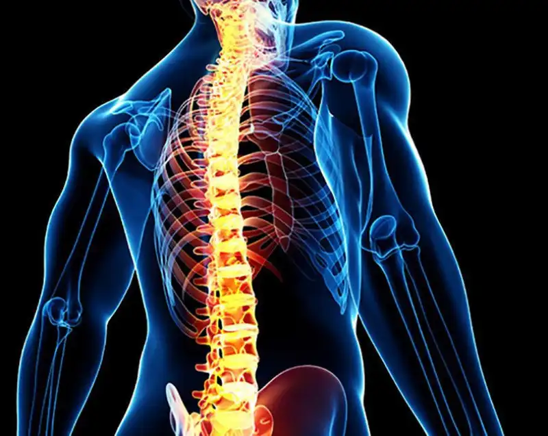 علائم بیماری ستون فقرات علائم بیماری ستون فقرات