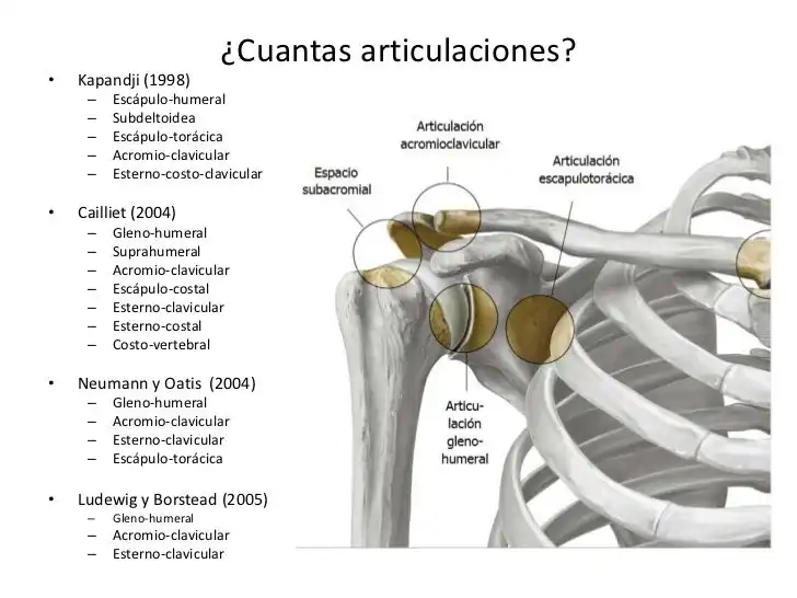 متخصص مفصل شانه متخصص مفصل شانه