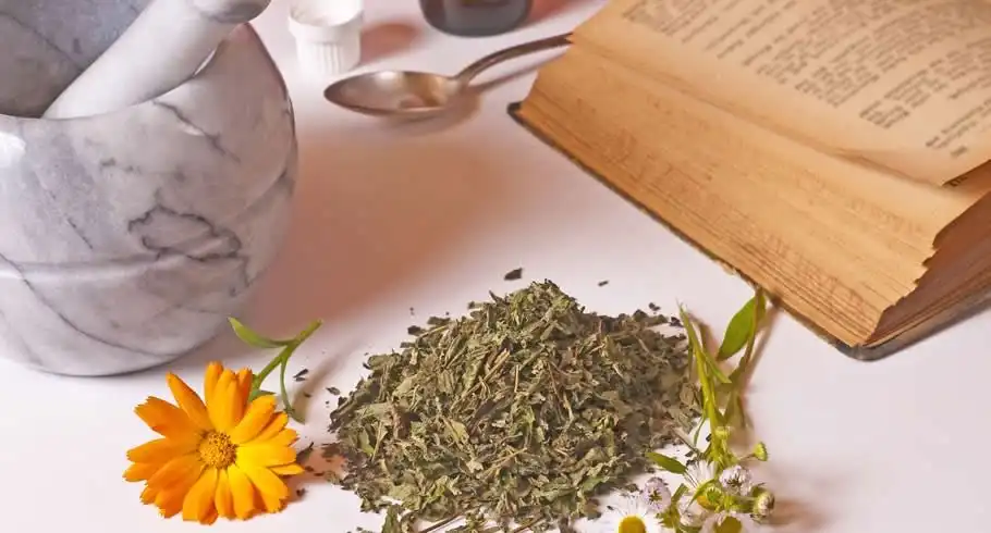 درمان گیاهی روماتیسم ستون فقرات درمان گیاهی روماتیسم ستون فقرات