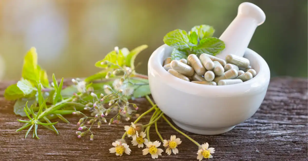 درمان گیاهی روماتیسم ستون فقرات