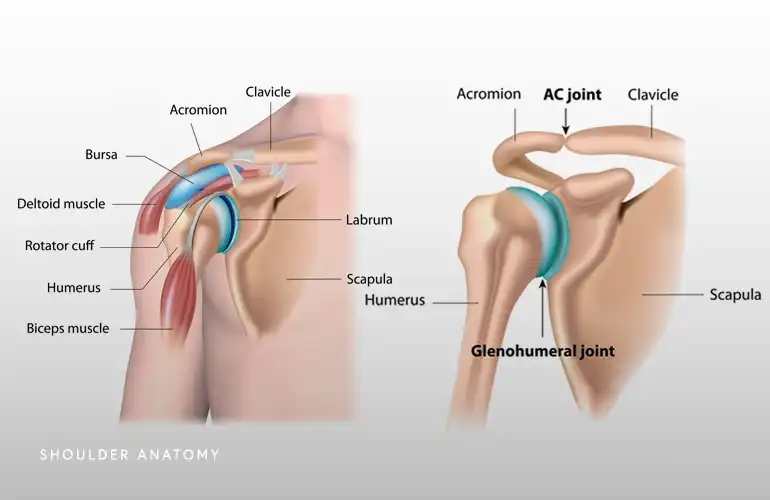 نحوه جا اندازی مفصل شانه نحوه جا اندازی مفصل شانه