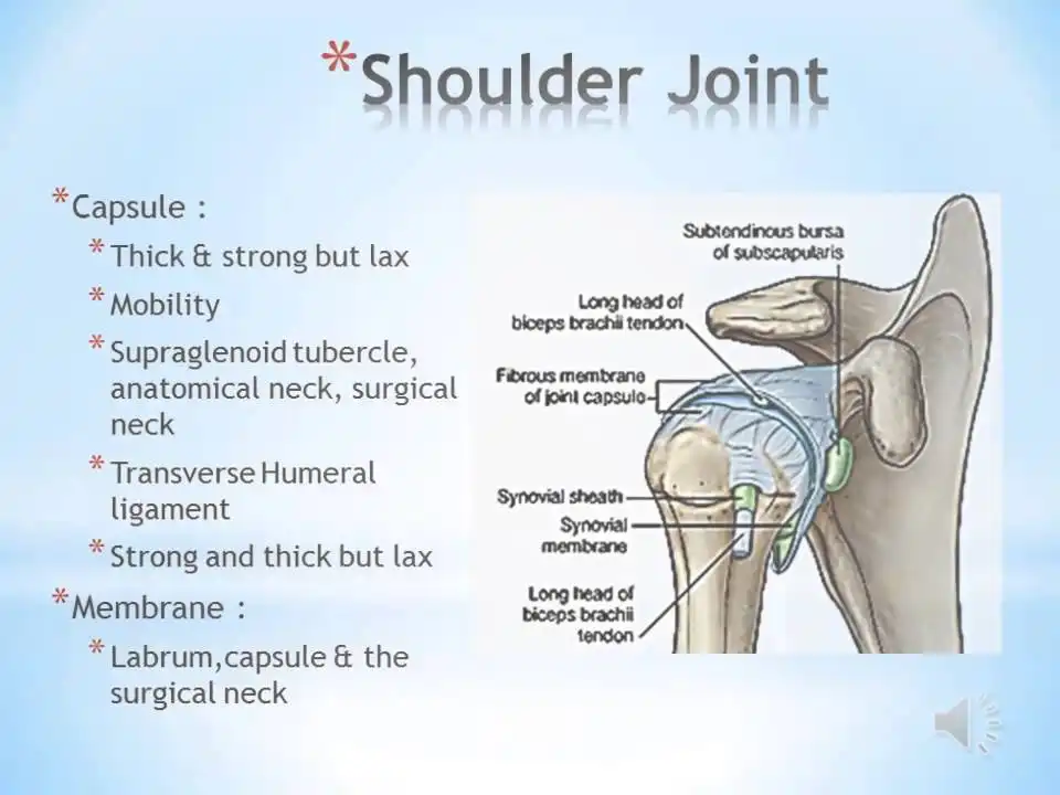 علت صدا دادن مفصل شانه