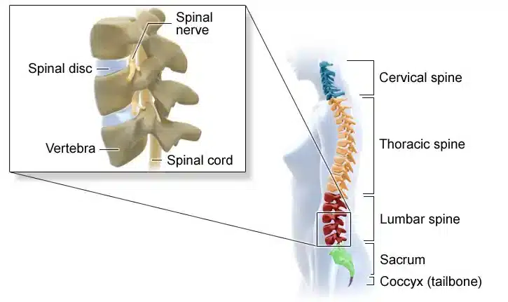 تفاوت دیسک کمر با روماتیسم ستون فقرات