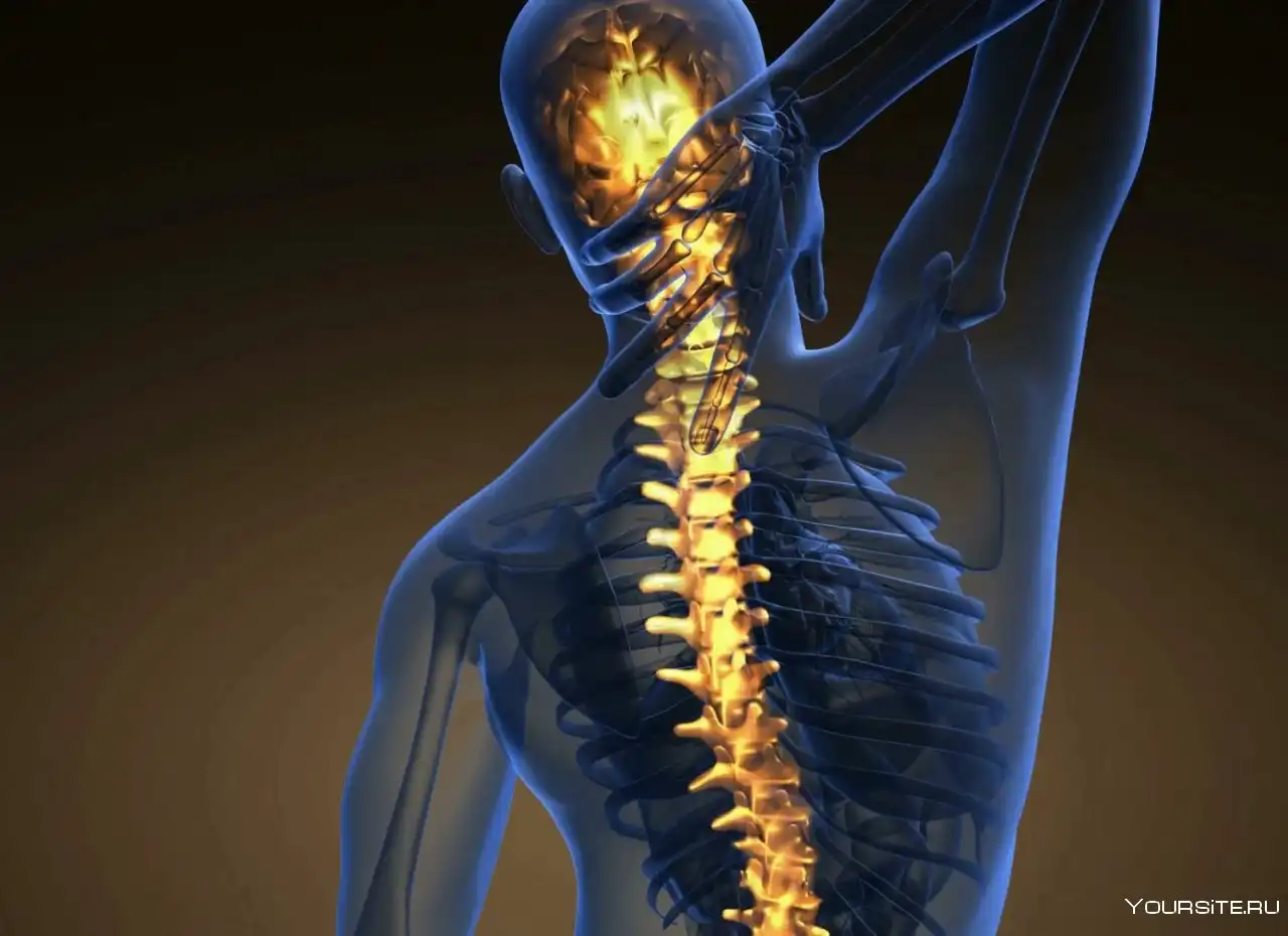 آسیب دیدگی ستون فقرات آسیب دیدگی ستون فقرات