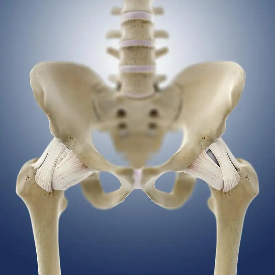 درد انتهای ستون فقرات درد انتهای ستون فقرات