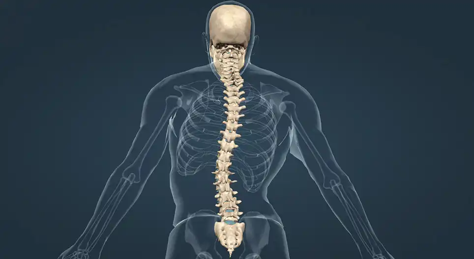 علت سوزن سوزن شدن ستون فقرات