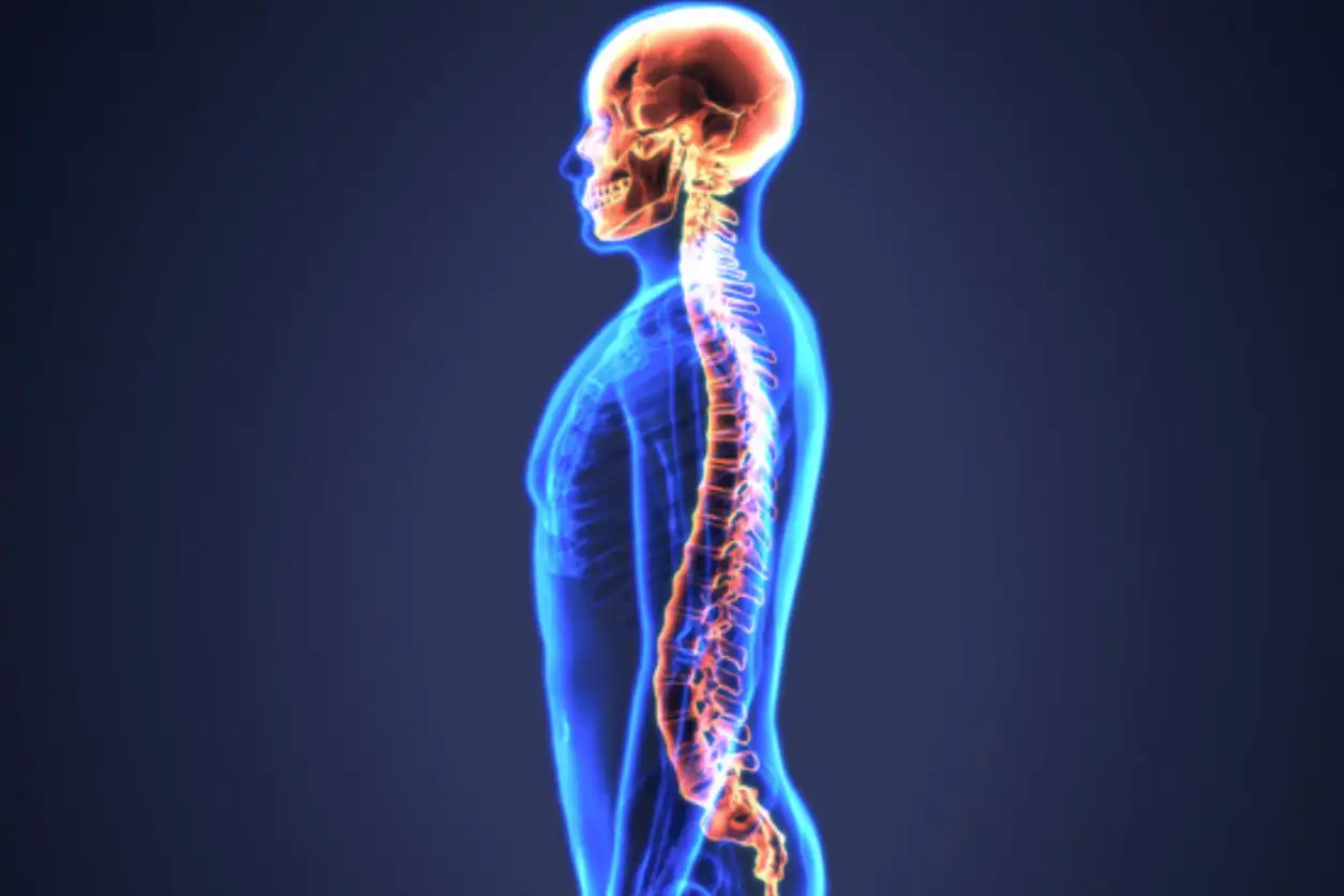 علت سوزن سوزن شدن ستون فقرات علت سوزن سوزن شدن ستون فقرات