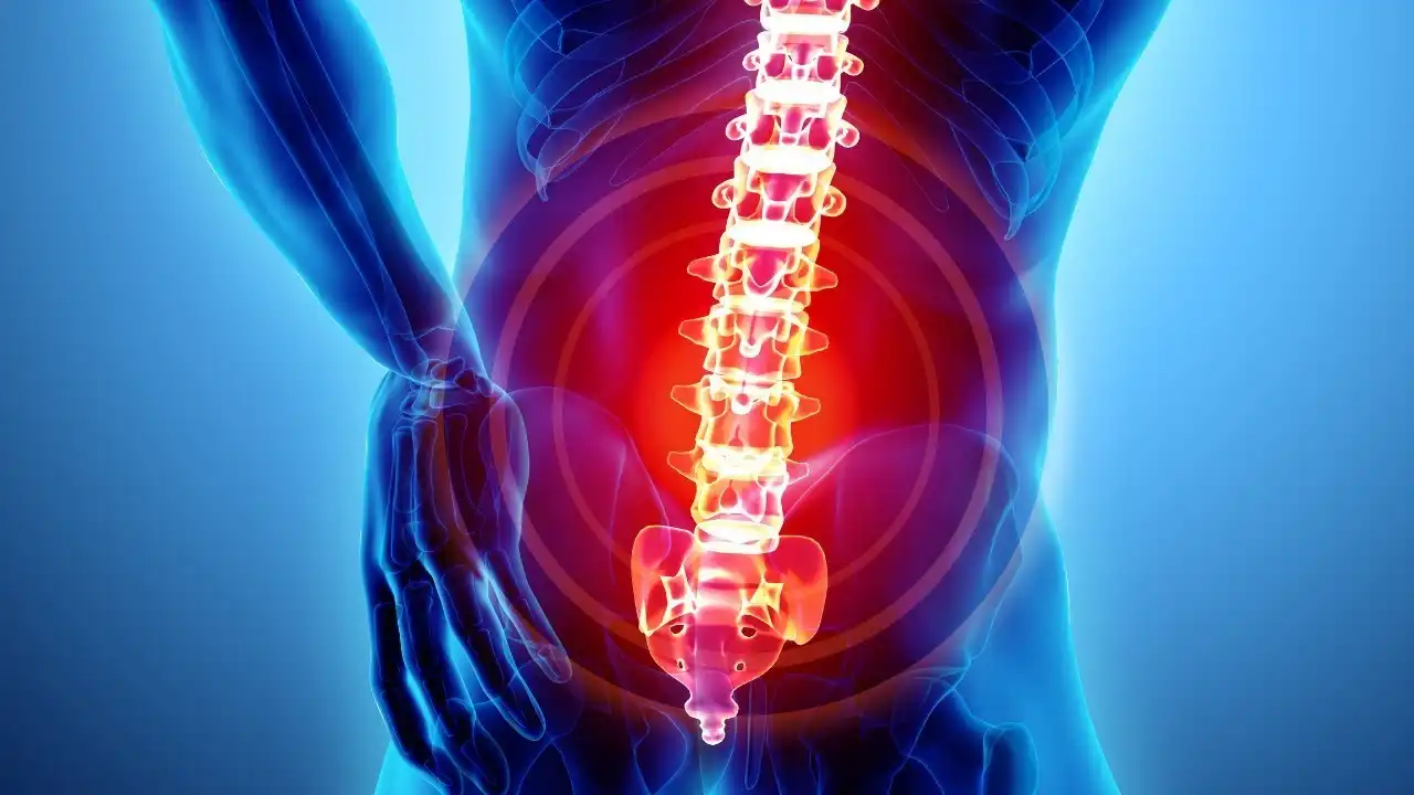 طول عمر سرطان ستون فقرات طول عمر سرطان ستون فقرات