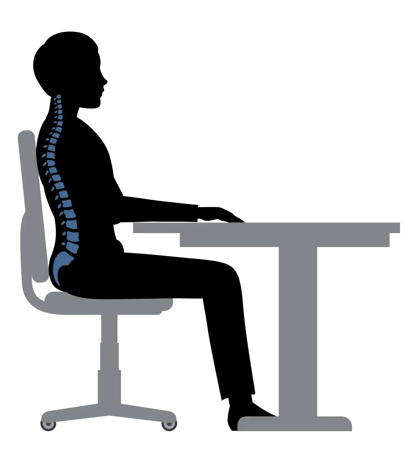 راستای ستون فقرات راستای ستون فقرات