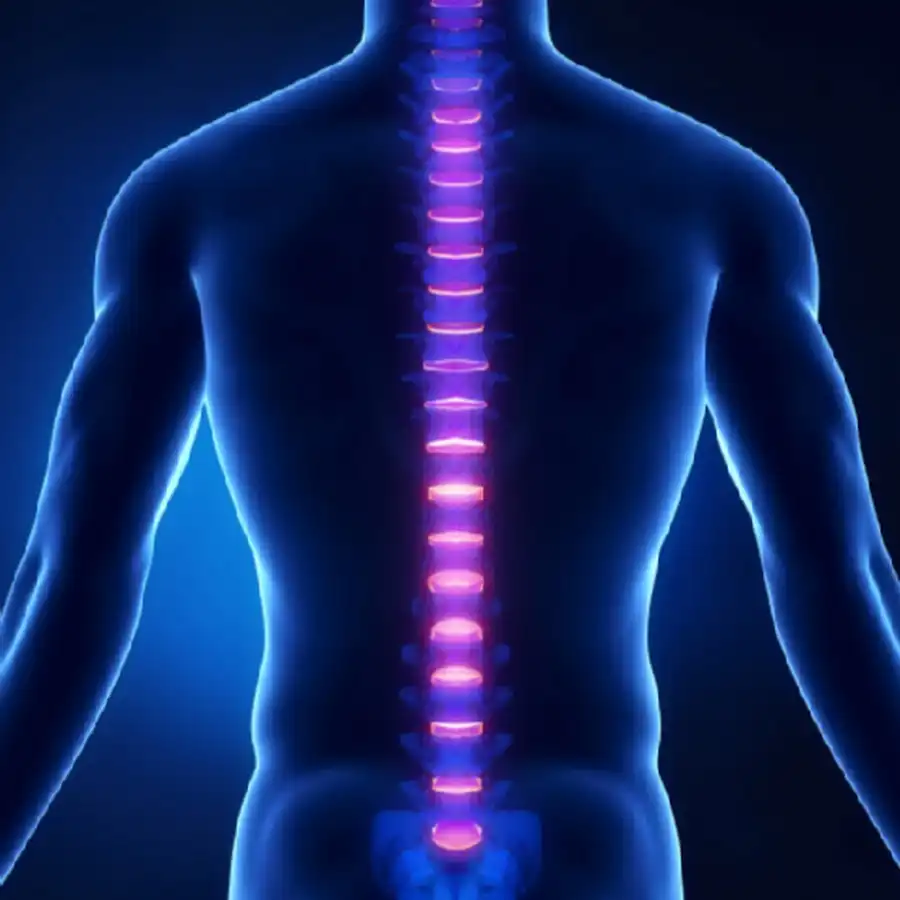 راستای ستون فقرات