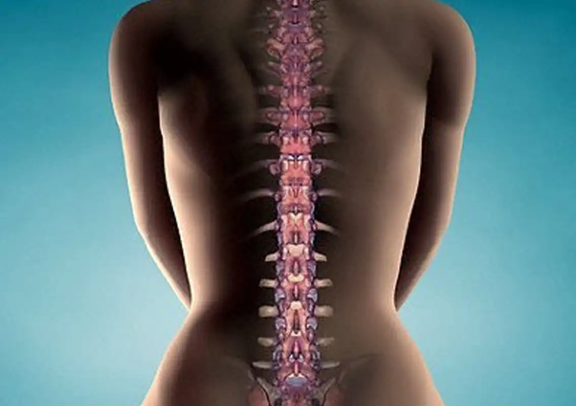 درمان گرفتگی عضلات ستون فقرات